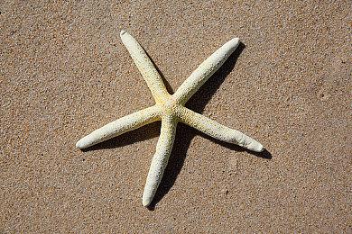 妖尾作者真岛浩漫画三开连载 还抽空通关了《最终幻想16》